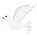 KindFlare logo